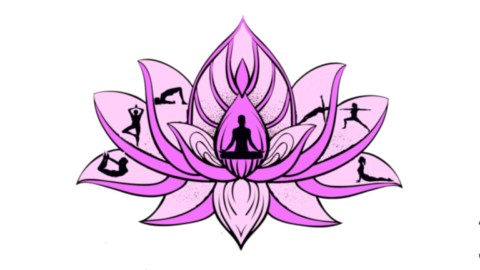 Lotus postures.html